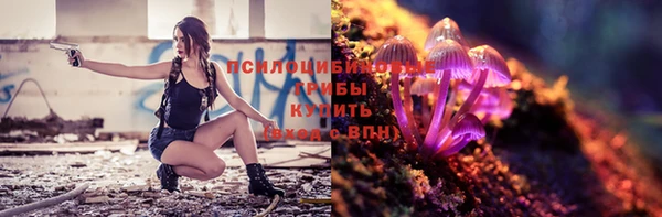 дмт Михайловск