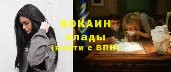 дмт Михайловск