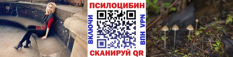 Псилоцибиновые грибы мицелий  Купить  Нововоронеж 