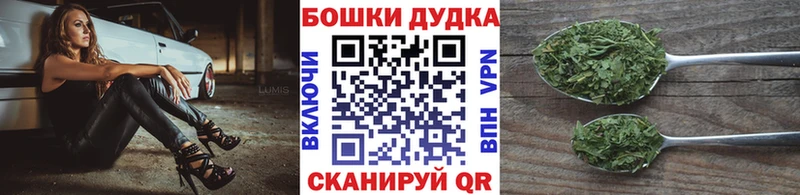Шишки марихуана семена  Купить закладки  Нововоронеж 